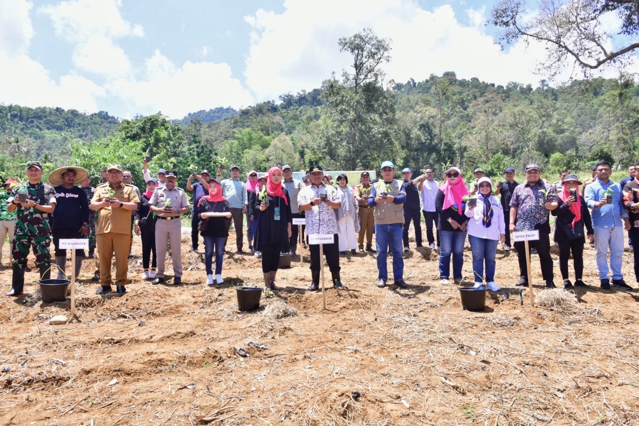 Pemkot Palopo Siapkan 48 Hektar Lahan Untuk Budidaya Pisang