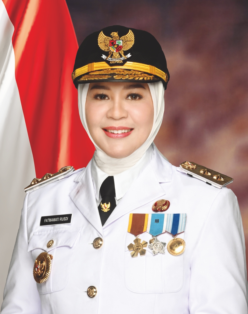 Wakil Gubernur