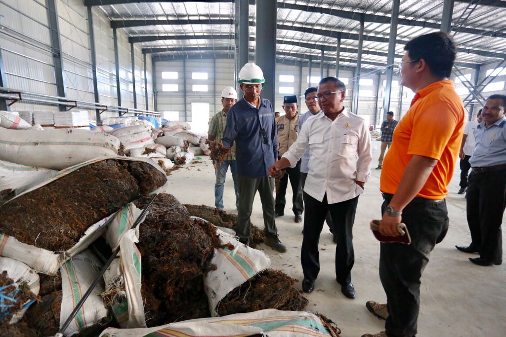 Wagub Tinjau Pabrik Pengolahan Rumput Laut Ganggang di Pinrang