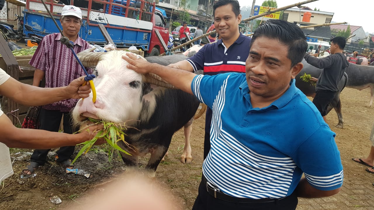 Sumarsono Berkunjung ke Pasar Hewan Terbesar di Dunia di Tana Toraja