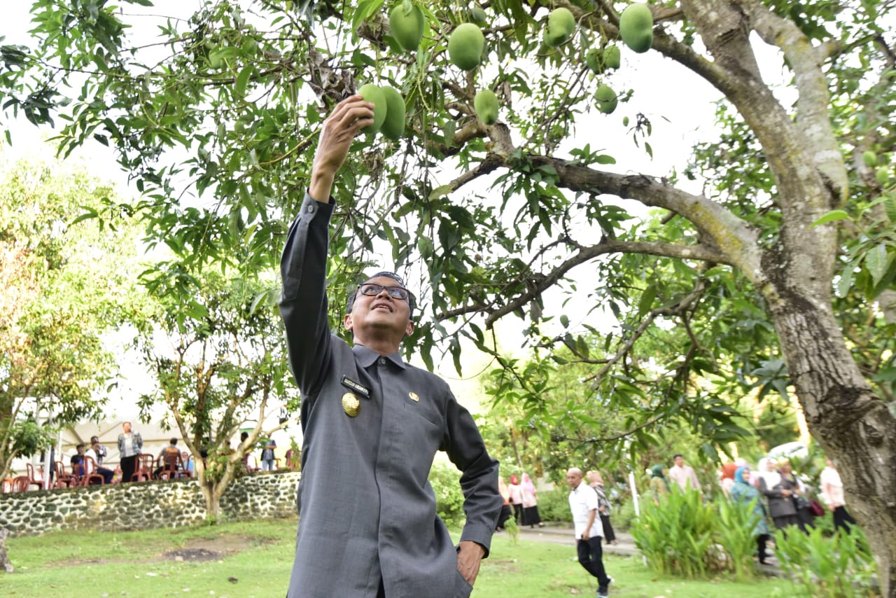 Nurdin Abdullah, Gubernur Yang Hobi Berkebun