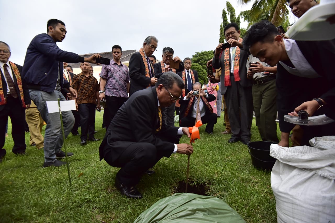 300 Pohon Sakura Akan Ditanam di Sulsel
