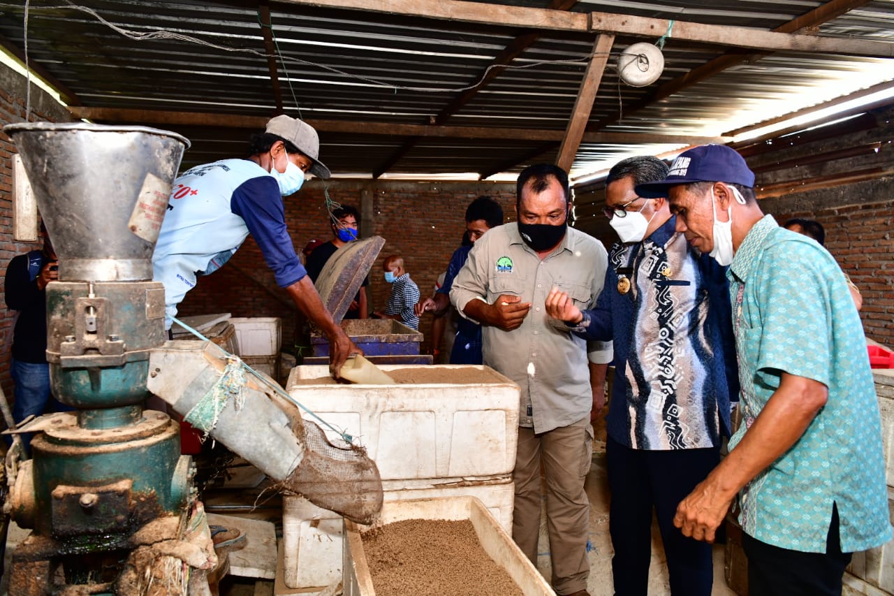 Gubernur Tinjau Pabrik Pakan Mandiri Barakka 557 Kabupaten Pinrang