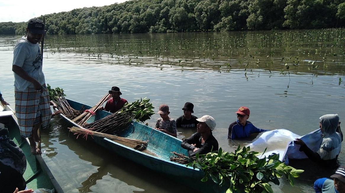 Jaga Ekosistem Lingkungan, Pemprov Sulsel Tanam 39 ribu Batang Mangrove di Desa Marannu Maros