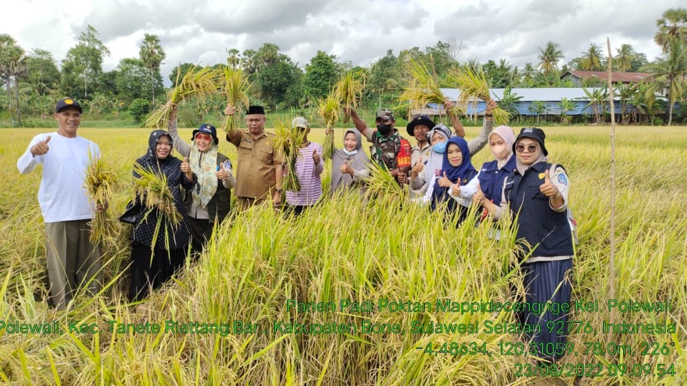 Mandiri Benih Sulsel Dongkrak Hasil Pertanian