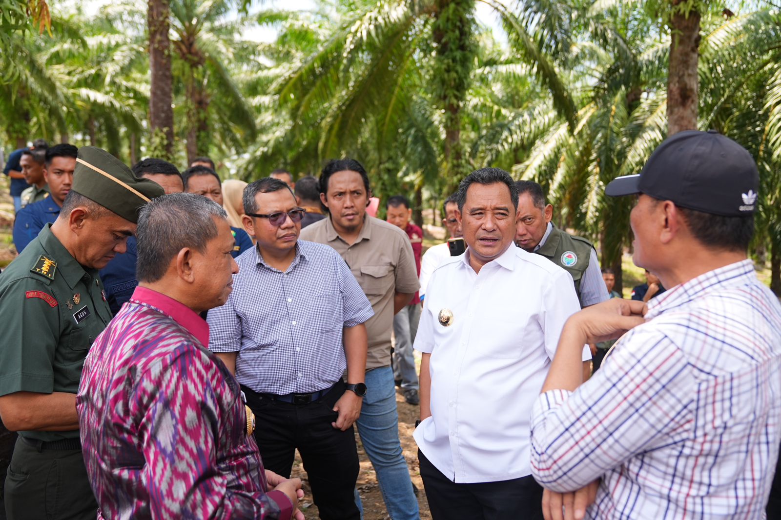 Pj Gubernur Bahtiar Produktifkan Lahan Milik PTPN XIV untuk Ditanami Pisang 