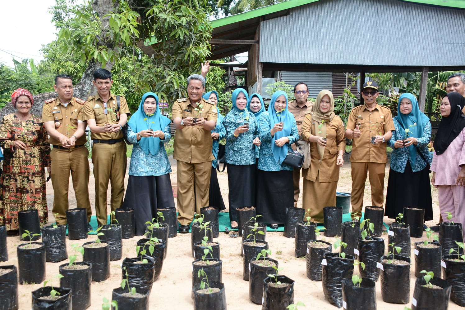 TP PKK Sidrap Lanjutkan Gerakan Menanam Cabai di Pitu Riawa dan Dua Pitue