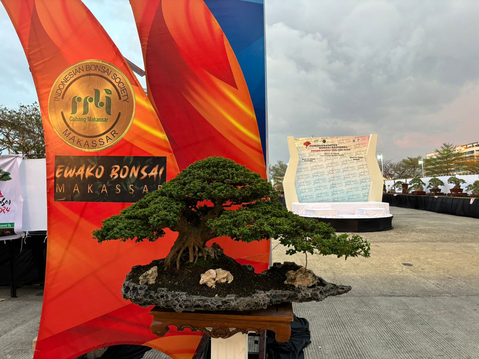 Ayo Kunjungi dan Saksikan Pameran “Ewako Bonsai 2024” di Makassar