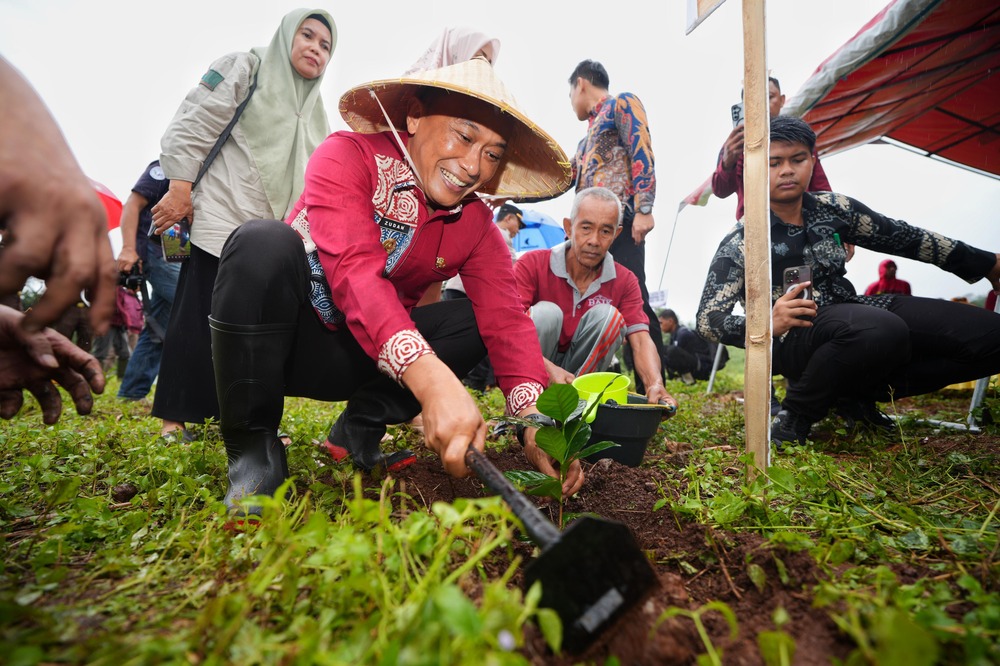 Program Sulsel Menanam Telah Tanam 12,5 Juta Lebih Pohon di Hutan Rakyat, Daerah Aliran Sungai dan Kebun Bibit Rakyat