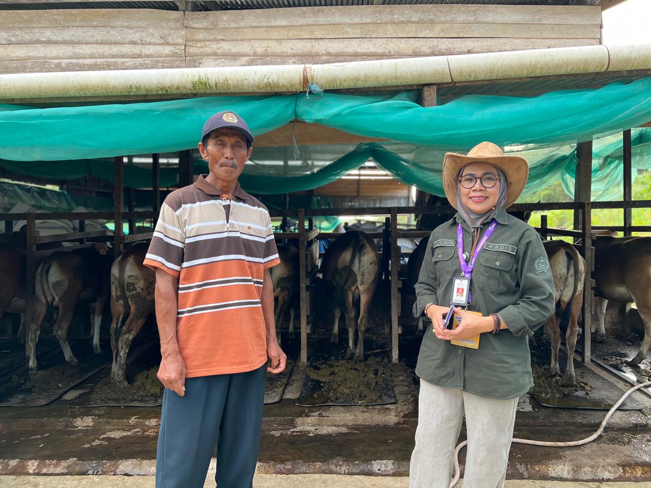Pemprov Sulsel Soal Output Program Peternakan di LKPJ 2024: Berdampak Nyata ke Masyarakat! 