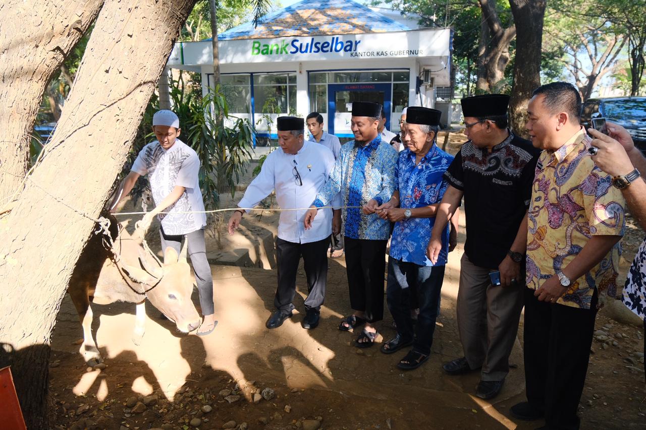 Pemprov Sulsel Kurban 26 Ekor Sapi Iduladha, Prioritaskan Warga Kurang Mampu