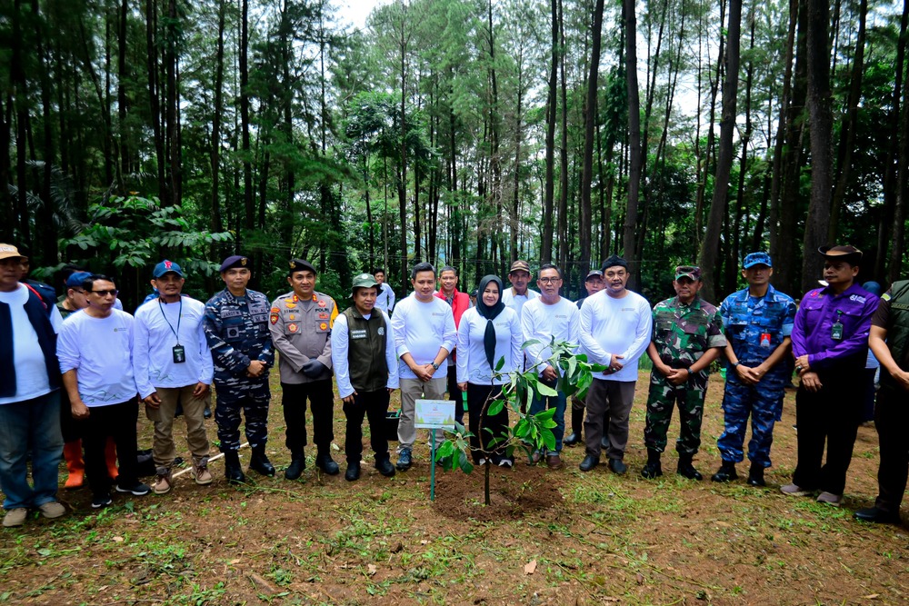 Pimpin Penanaman Pohon Serentak, Fatmawati Ajak Perkuat Kolaborasi Hijaukan Sulsel