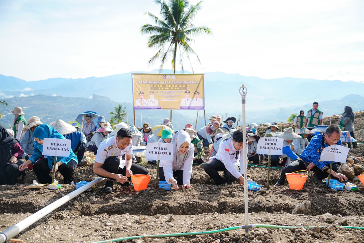 Dari Penanaman Bawang hingga Peluncuran GENTING, Wagub Sulsel Kunjungi Enrekang