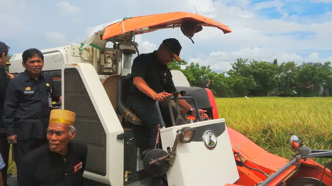 9000 Ha Sawah Sidrap Panen Tiga Kali Setahun