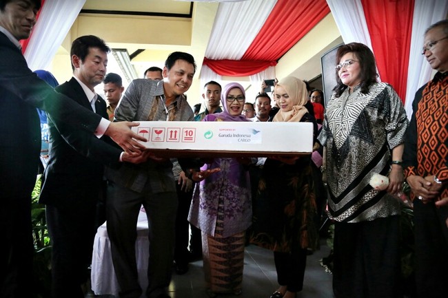 Ny. Mufidah Jusuf Kalla Lepas Ekspor Perdana Bunga Krisan ke Jepang